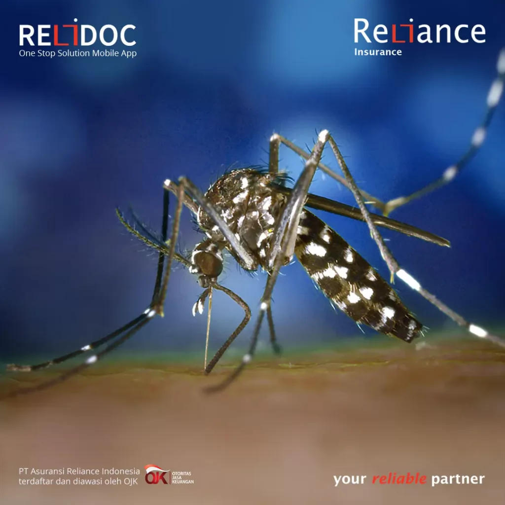 Demam Berdarah Dengue (DBD) | ReliDoc