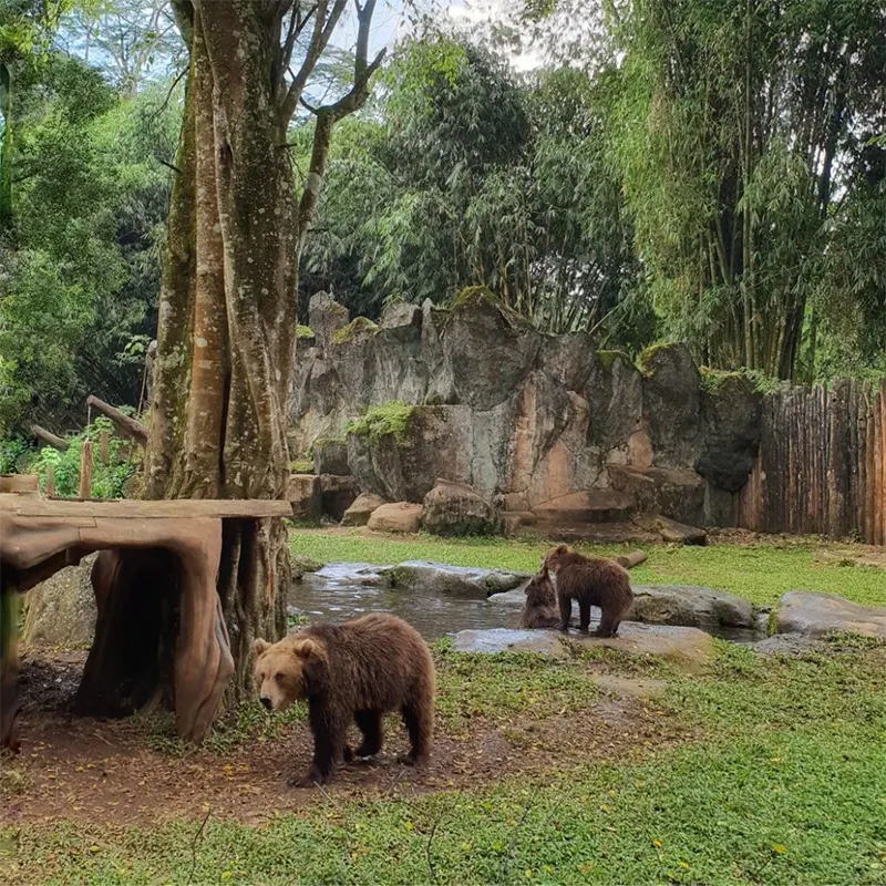 Taman Safari Indonesia Bogor | 10 Destinasi Wisata